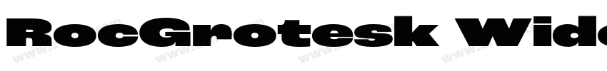 RocGrotesk WideBold字体转换